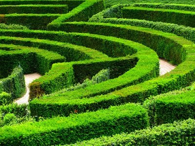 les secrets de la loi d'attraction