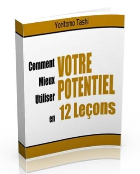 utiliser tout son potentiel en 12 leçons