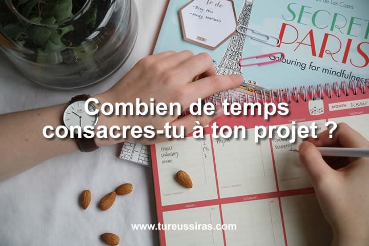 Combien de temps consacres-tu à ton projet ?